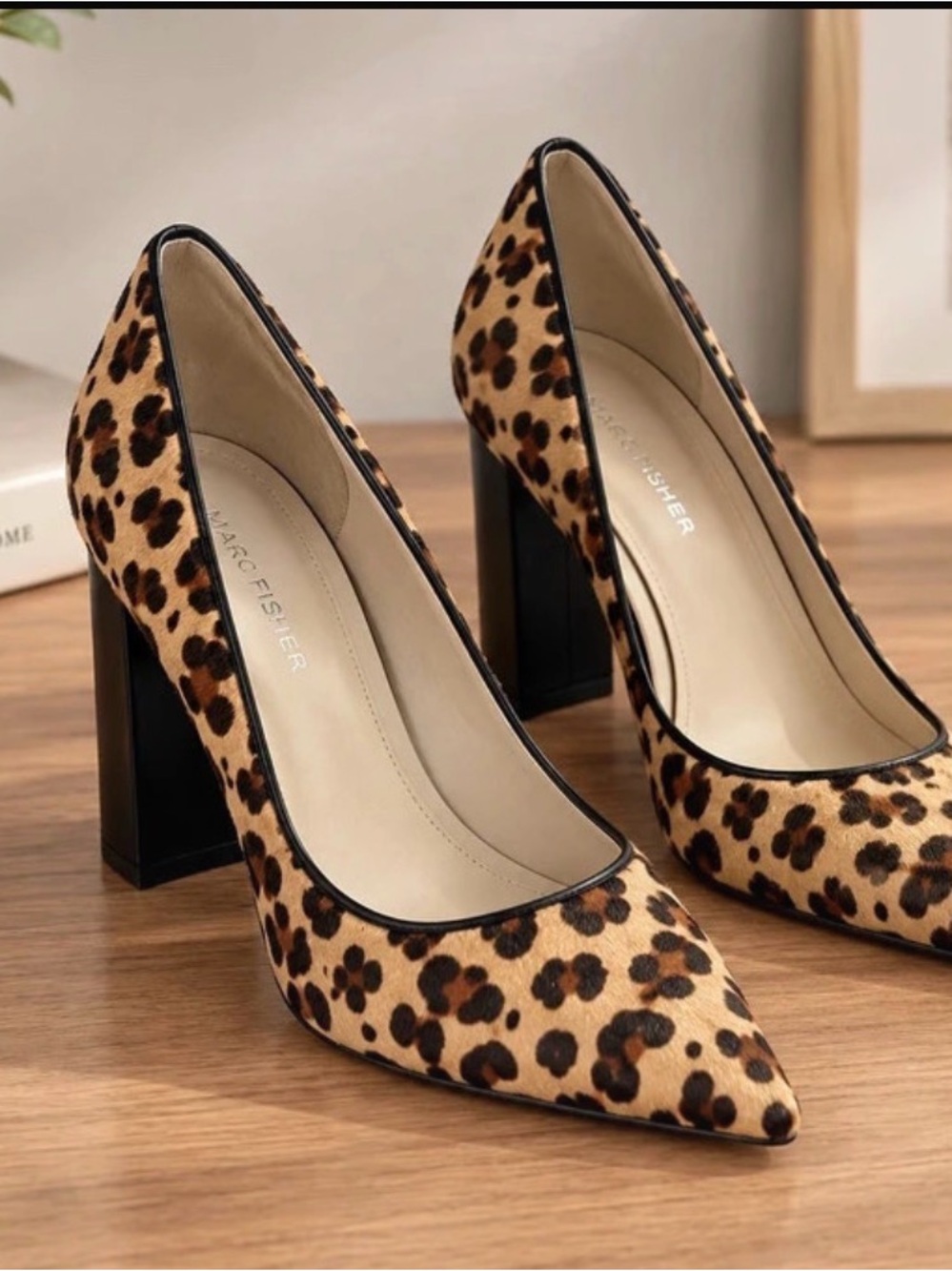 Leopard